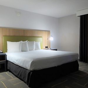Chambre Lit Queen-Size avec Accès aux Personnes Handicapées